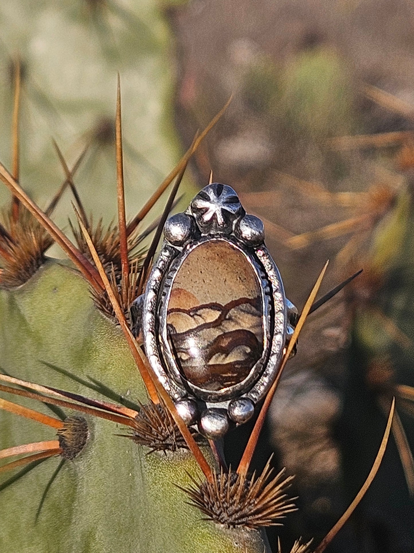 Owyhee Jasper Ring