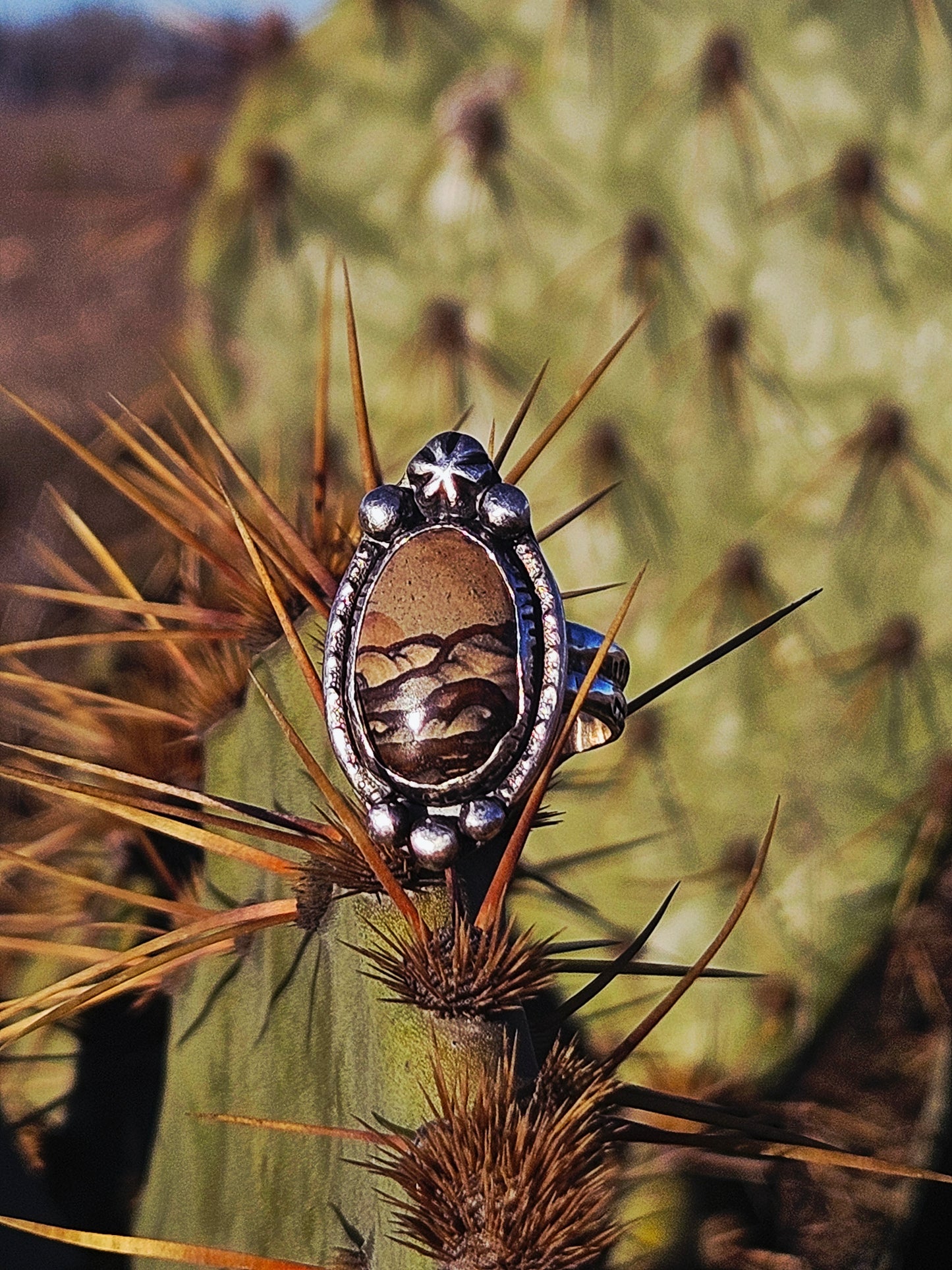 Owyhee Jasper Ring