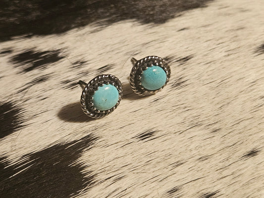 Bluebird Turquoise Stud Earrings