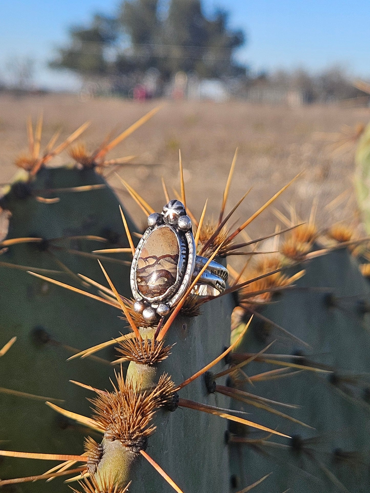 Owyhee Jasper Ring